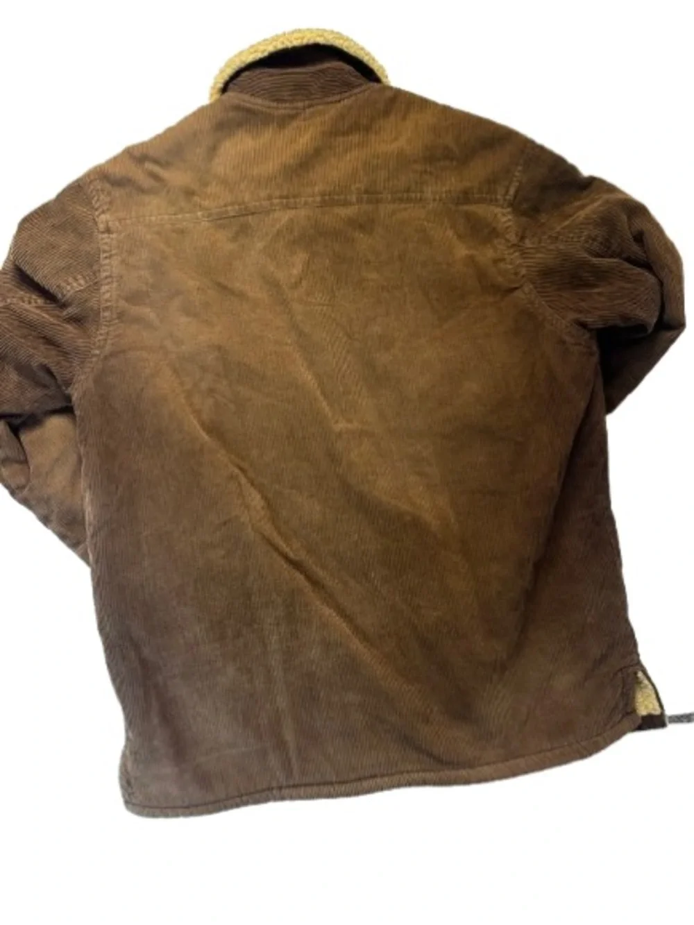 J. Crew stylish brown